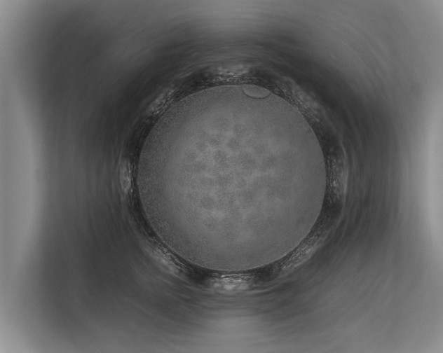 X0000113640758200909181456