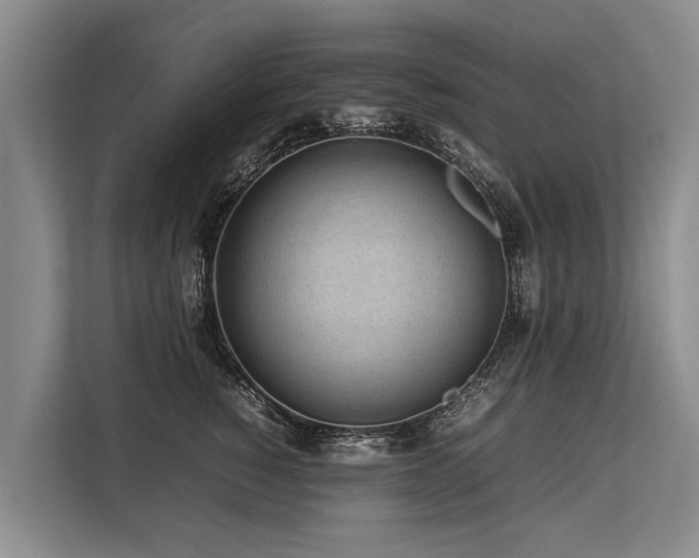 X0000113640760200909181456