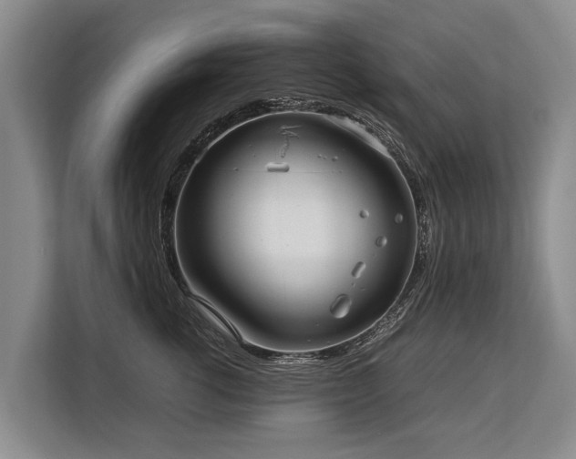 X0000113640762200909181456