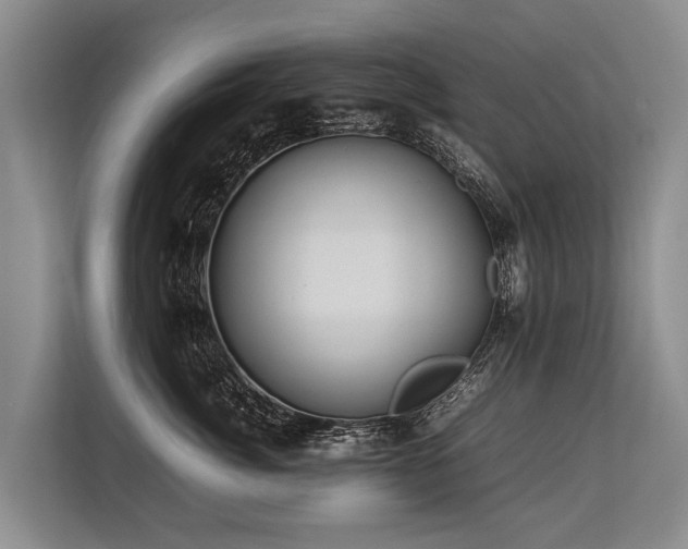 X0000113640764200909181456