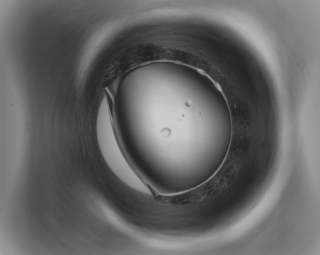 X0000113640766200909181456