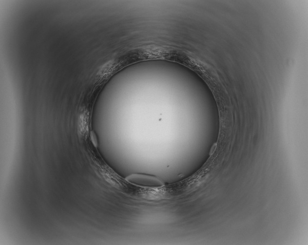 X0000113640768200909181456