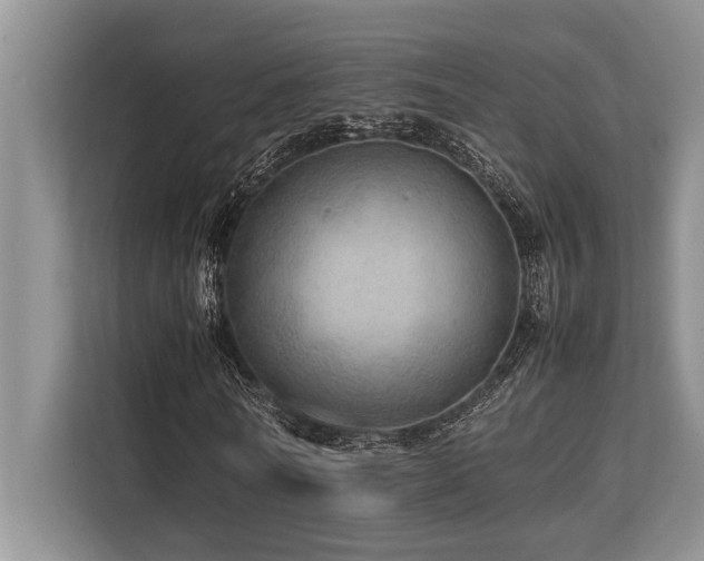 X0000113640770200909181456