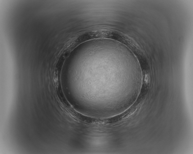 X0000113640771200909181456