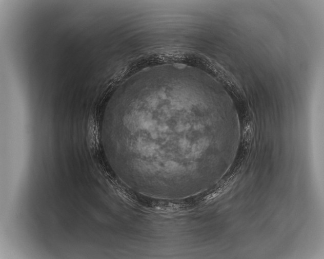 X0000113640772200909181456