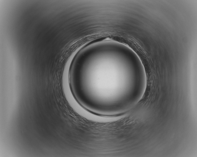 X0000113640773200909181456