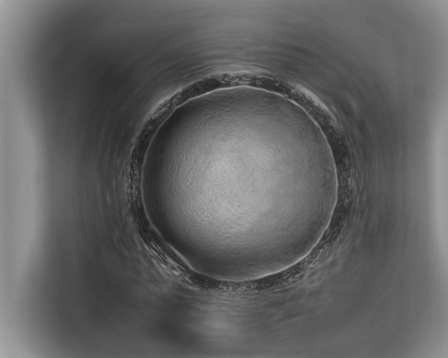 X0000113640775200909181456