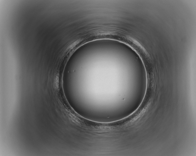 X0000113640777200909181456