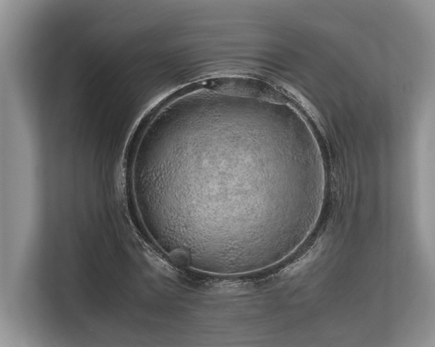 X0000113640779200909181456