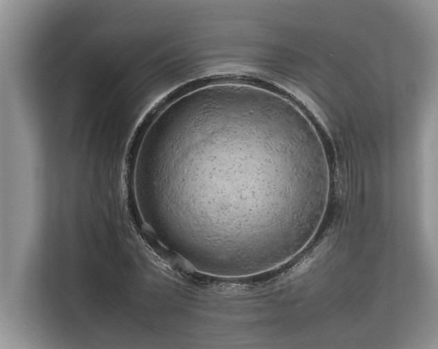 X0000113640783200909181456