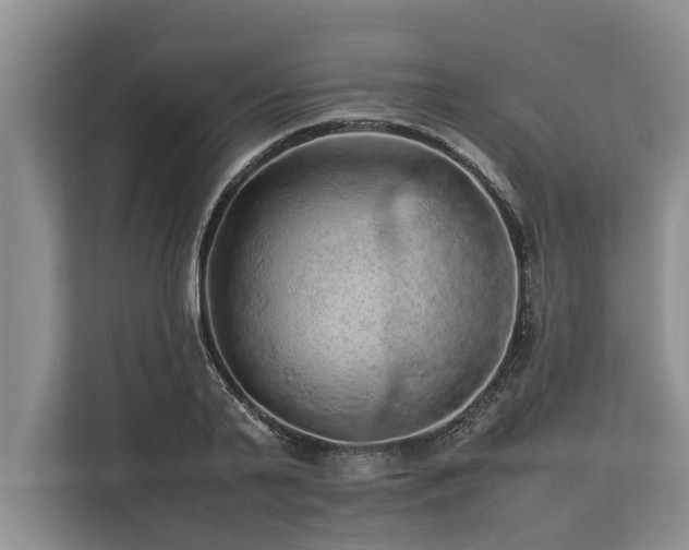 X0000113640791200909181455