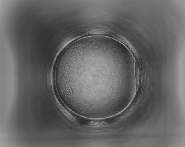 X0000113640795200909181455