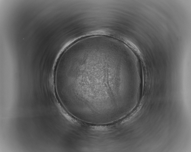 X0000113640800200909181455