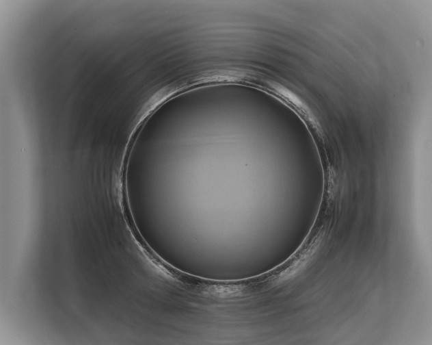 X0000113640802200909181455