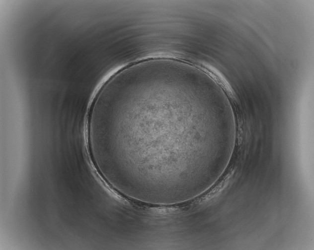 X0000113640804200909181455