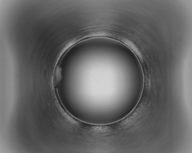 X0000113640805200909181455