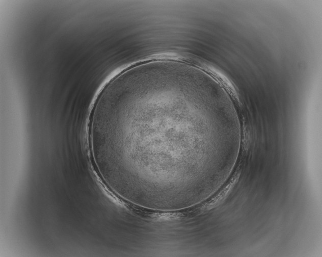 X0000113640808200909181455