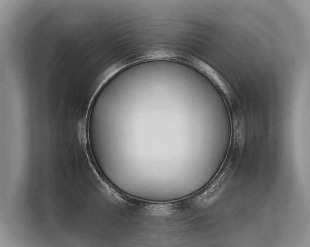 X0000113640810200909181455