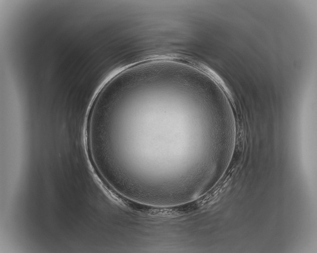 X0000113640811200909181455