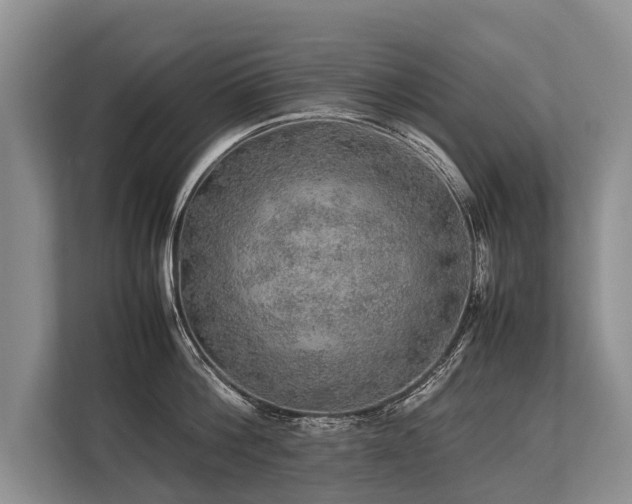 X0000113640812200909181455