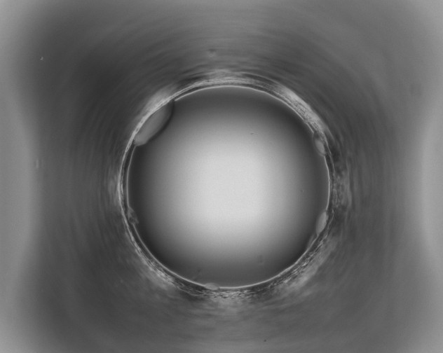 X0000113640813200909181455