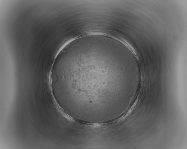 X0000113640814200909181455