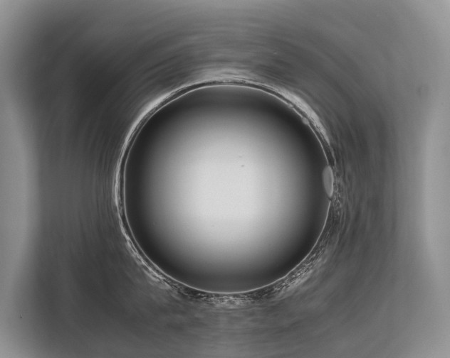 X0000113640815200909181455