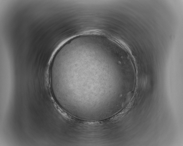 X0000113640816200909181455