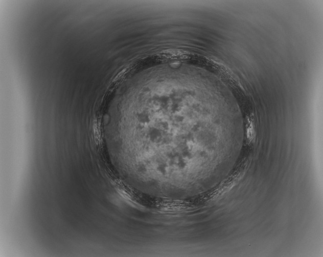 X0000113640819200909181455