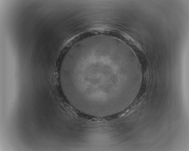 X0000113640822200909181455