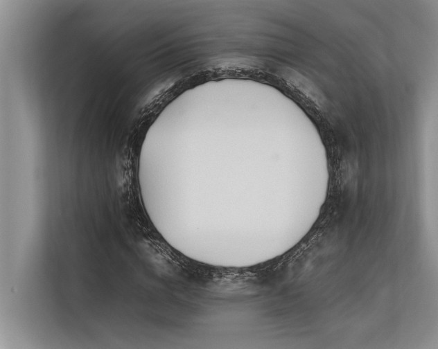 X0000113640824200909181455