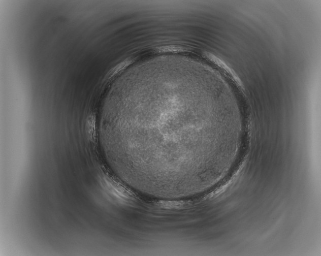 X0000113640825200909181455