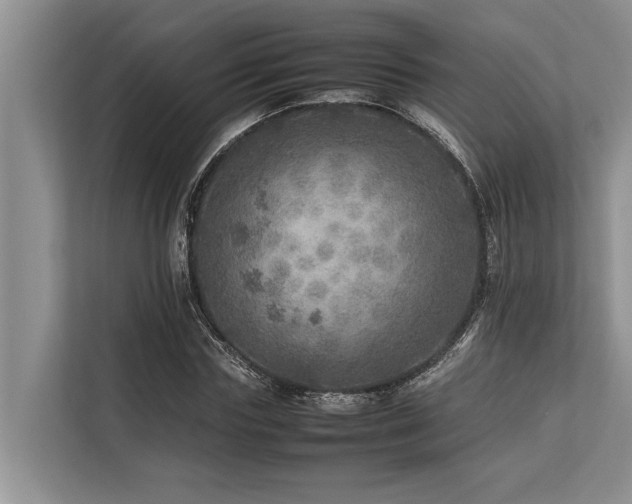 X0000113640827200909181455