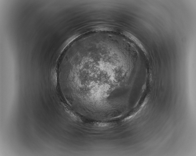 X0000113640829200909181455