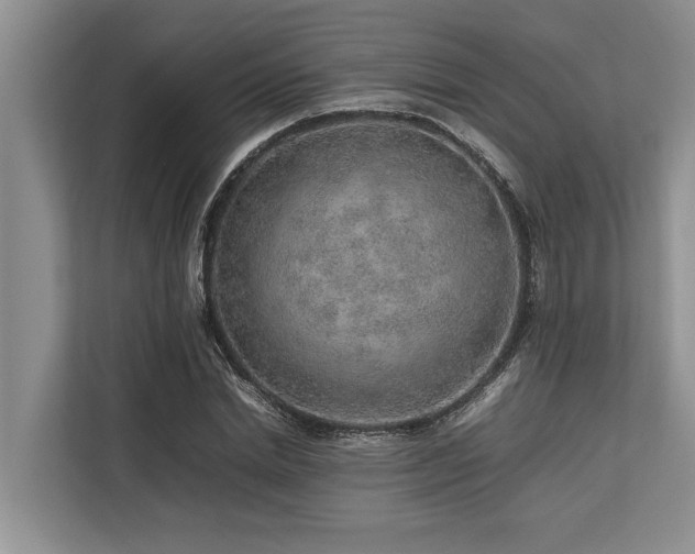 X0000113640830200909181455