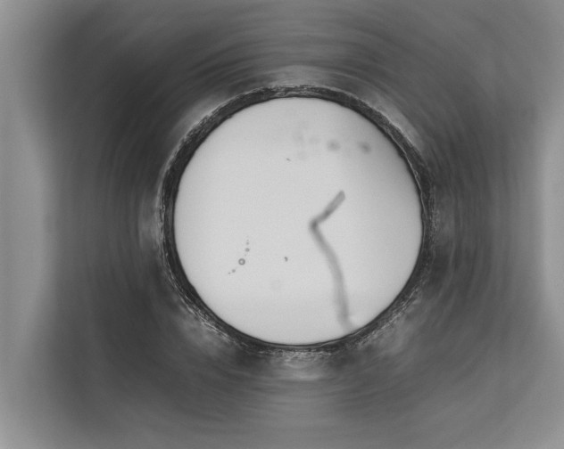 X0000113640832200909181455