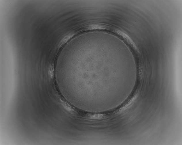 X0000113640833200909181455