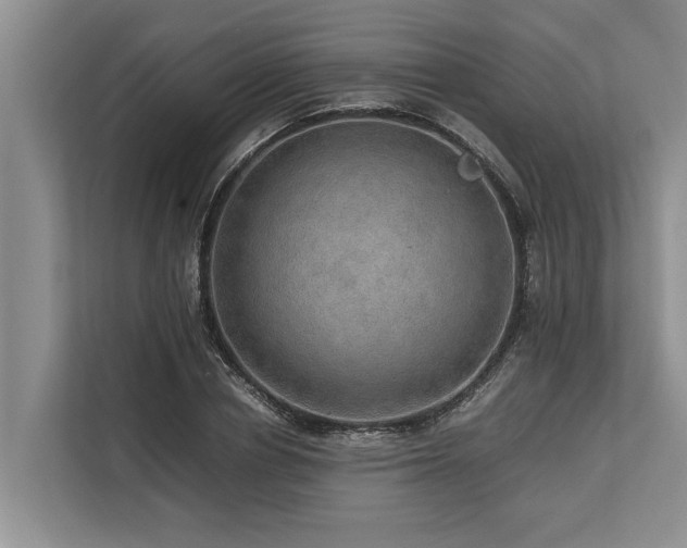 X0000113640834200909181455