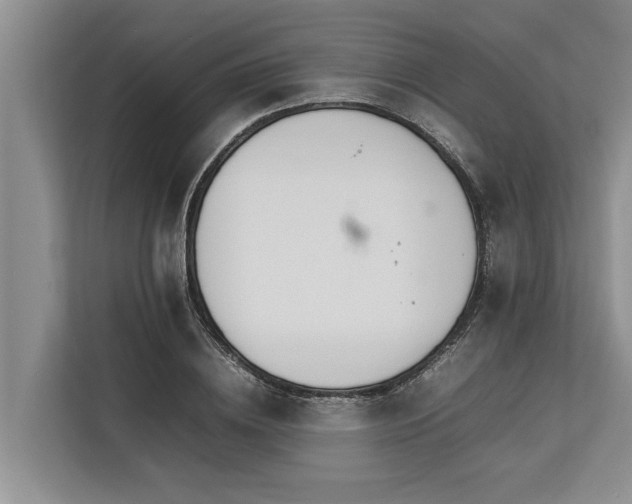 X0000113640836200909181455