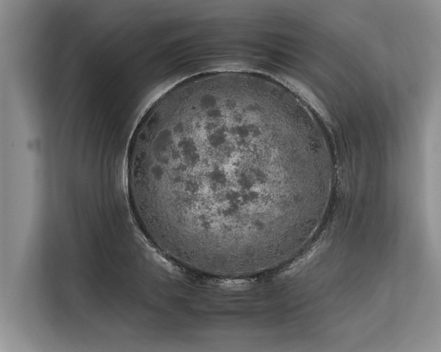 X0000113640839200909181455