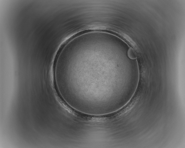 X0000113640840200909181455