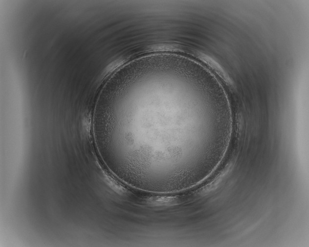 X0000113640841200909181455