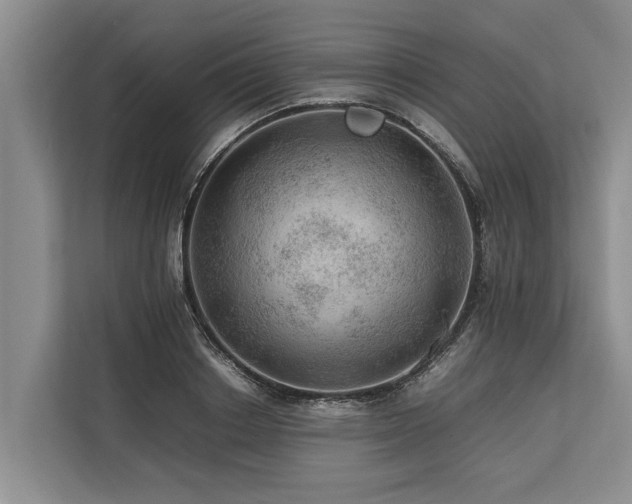 X0000113640842200909181455