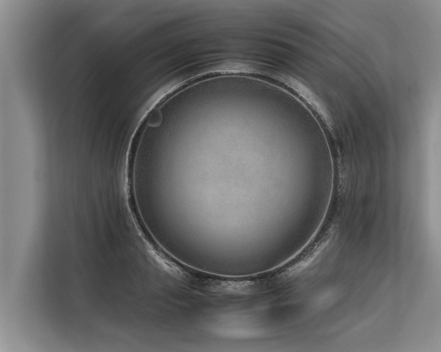 X0000113640845200909181455