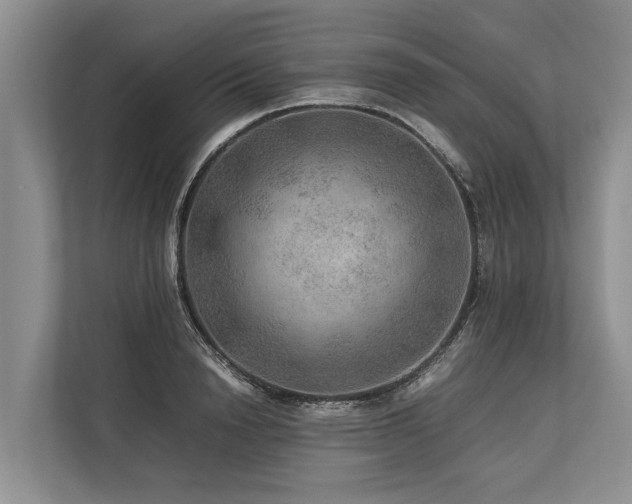 X0000113640846200909181455