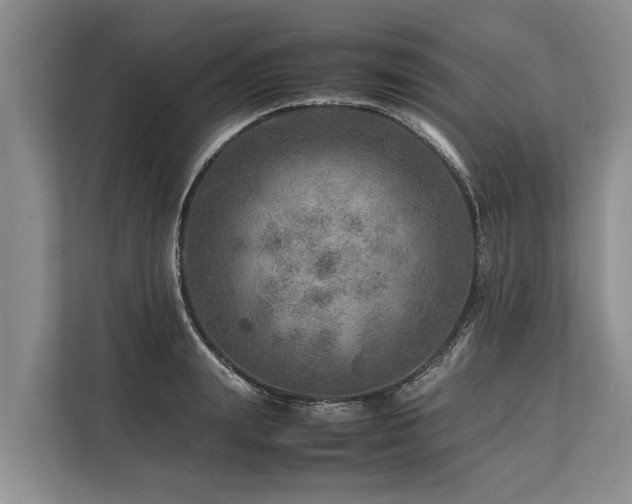 X0000113640847200909181455