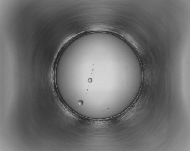 X0000113640848200909181455