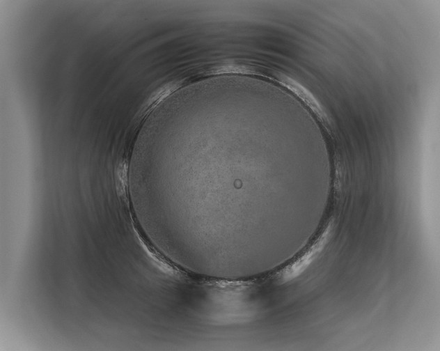 X0000113640849200909181455