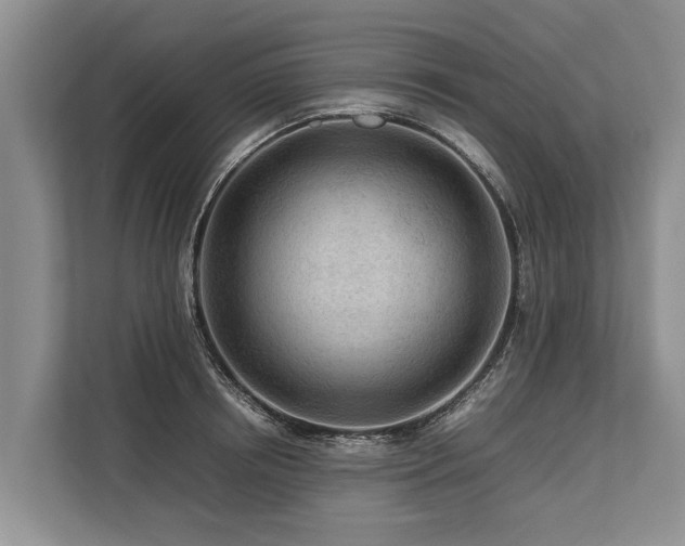 X0000113640850200909181455