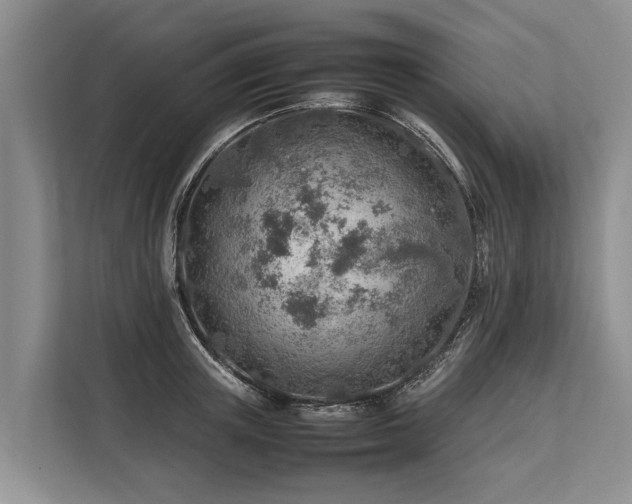 X0000113640851200909181455